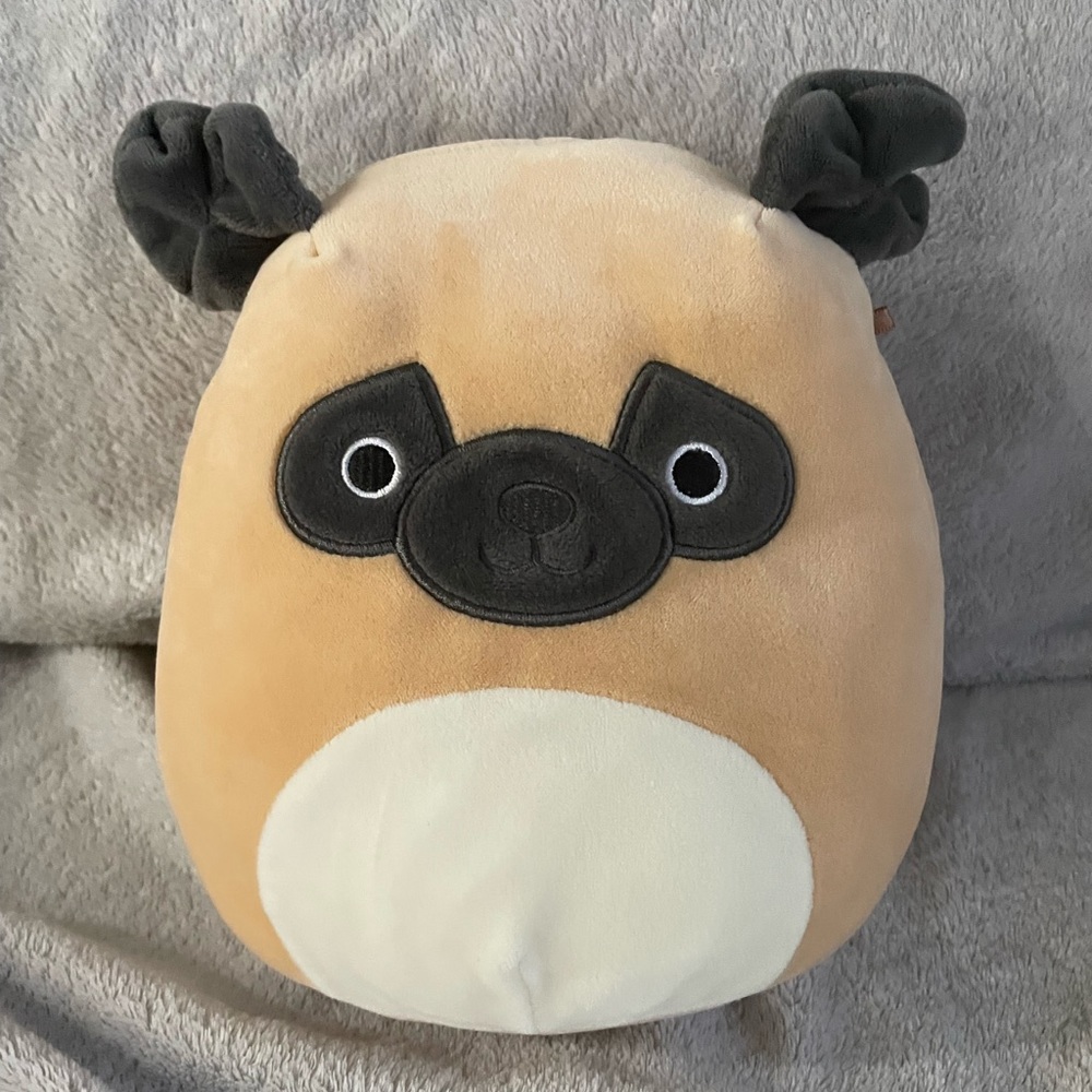Squishmallow, pug